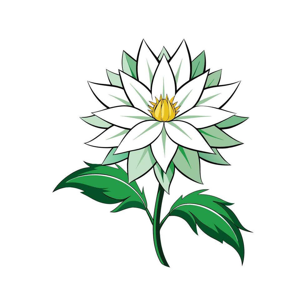 Charming Flannel Flower with Unique Appearance vector