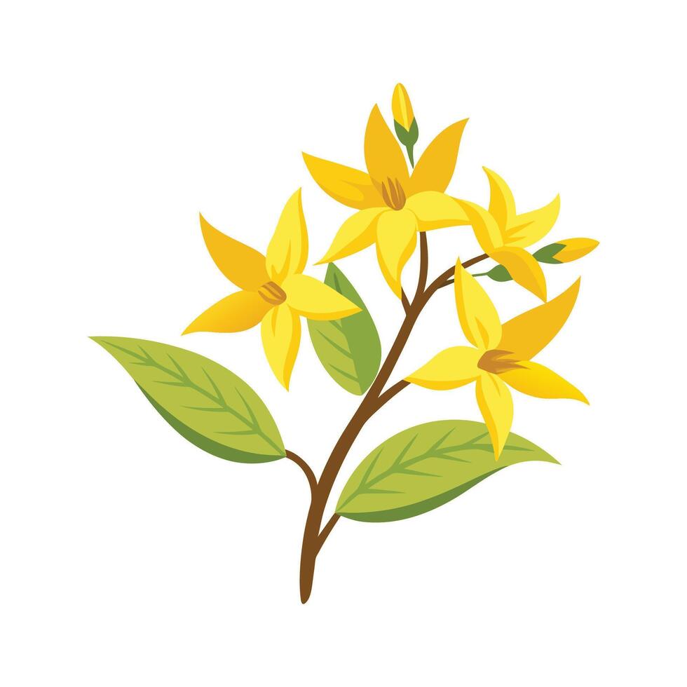 Forsythia Flower Design with Golden Blooms vector