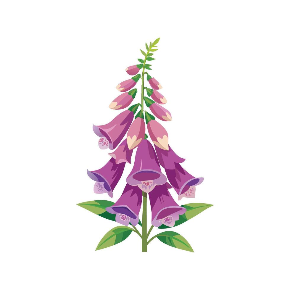 Beautiful Foxglove Plant Design with Striking Flowers vector