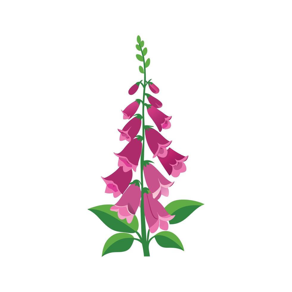 Elegant Foxglove Plant Design vector