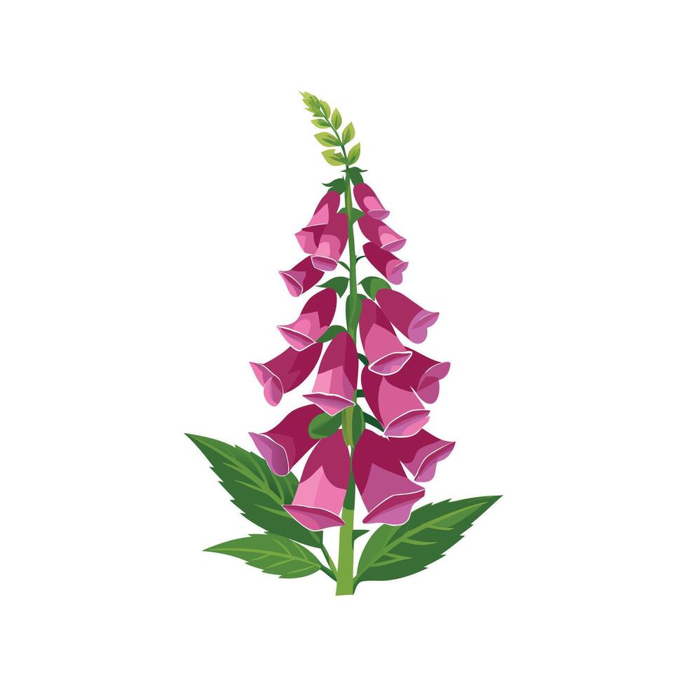 Stylish Foxglove Plant Artwork vector