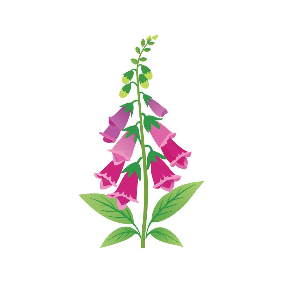 Vibrant Foxglove Design with Colorful Blooms vector