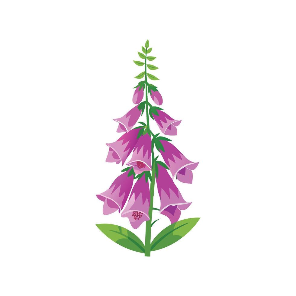Elegant Foxglove Plant with Distinctive Features vector