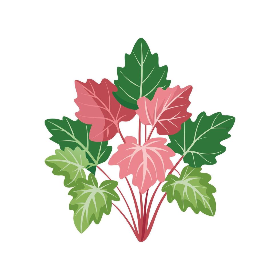 Stunning Fuchsia Flower Design with Unique Features vector