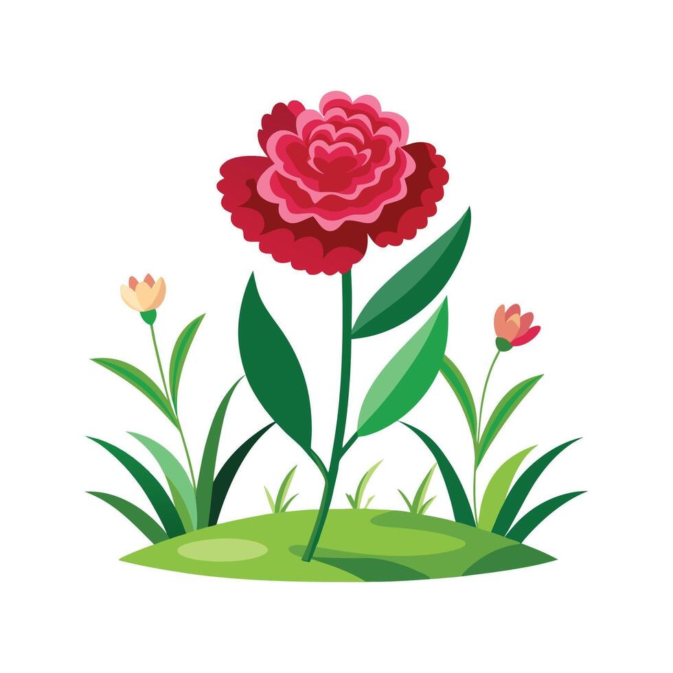 Charming Garden Carnation Plant Design vector
