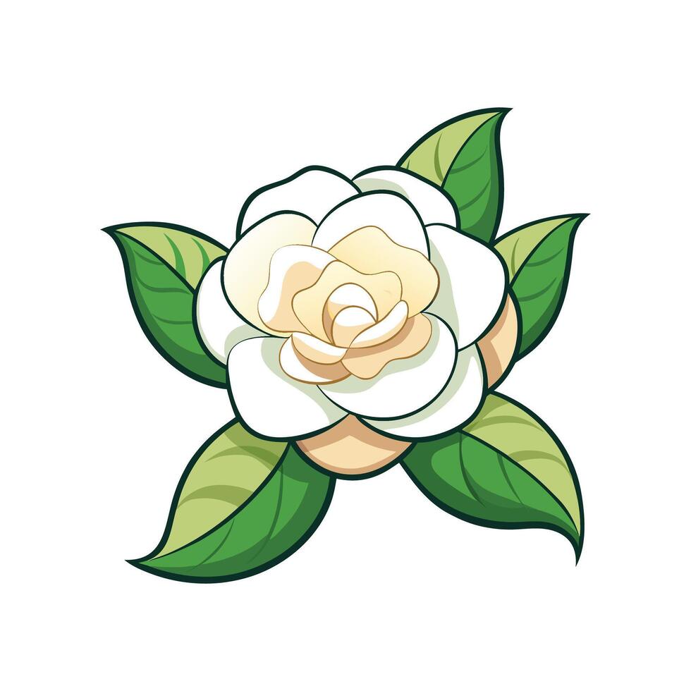 Stunning Gardenia Plant Design with Beautiful Blooms vector