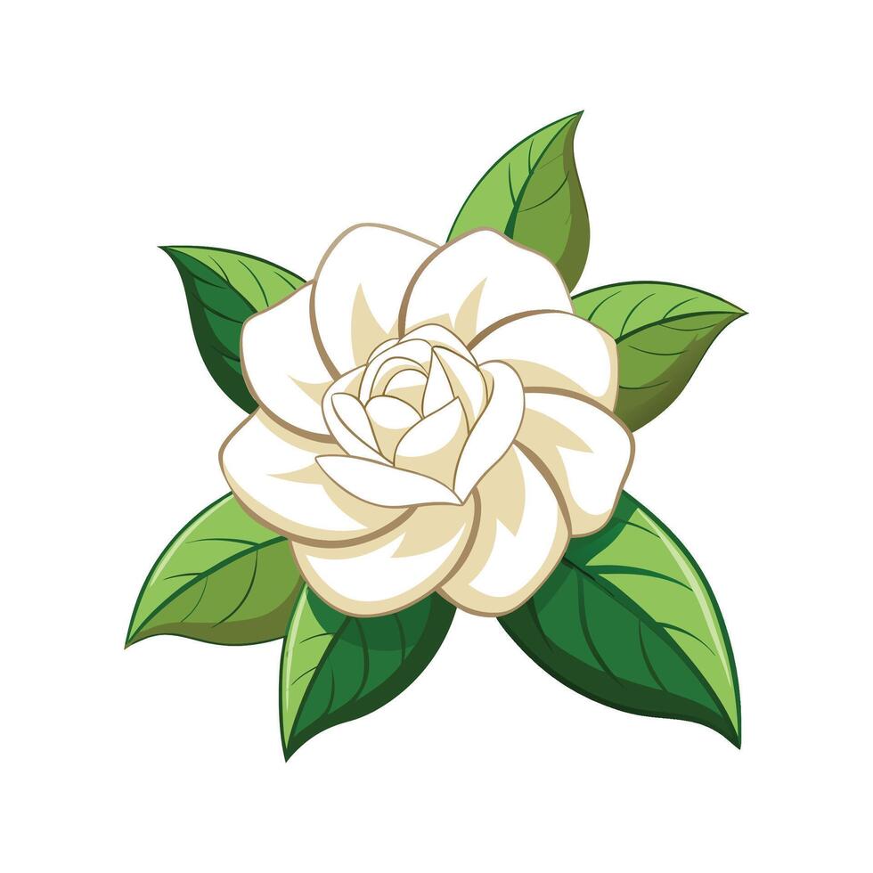 Charming Gardenia Plant with Unique Features vector