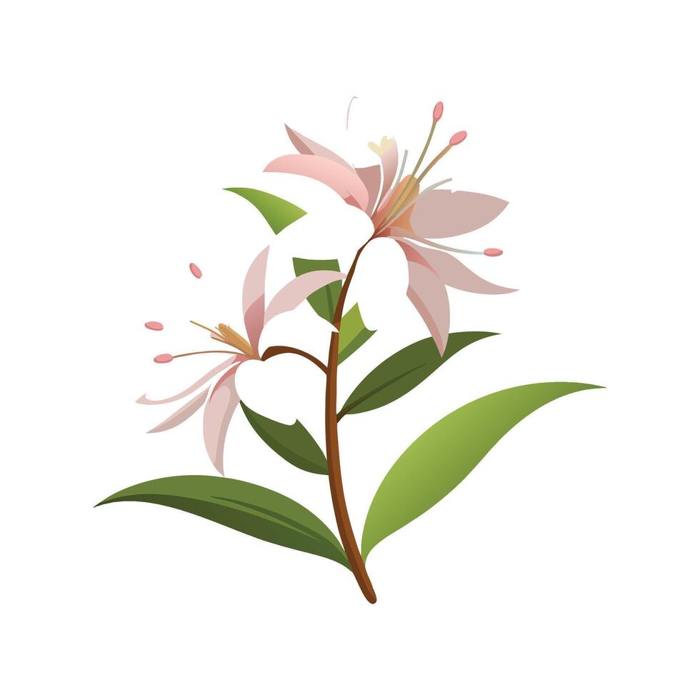 Elegant Gaura Plant Design with Stunning Blooms vector