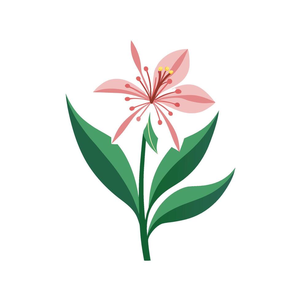 Vibrant Gaura Flower Design with Unique Appearance vector