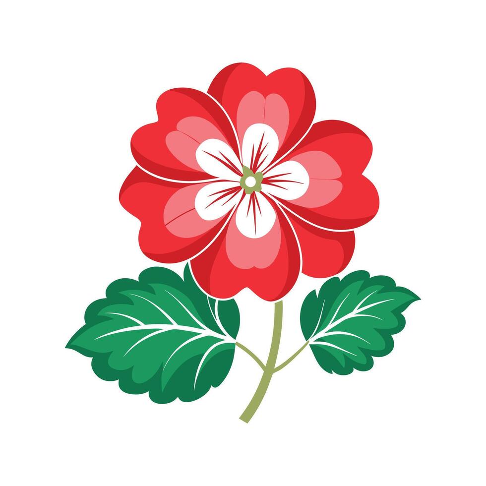 Charming Geranium Plant Illustration vector