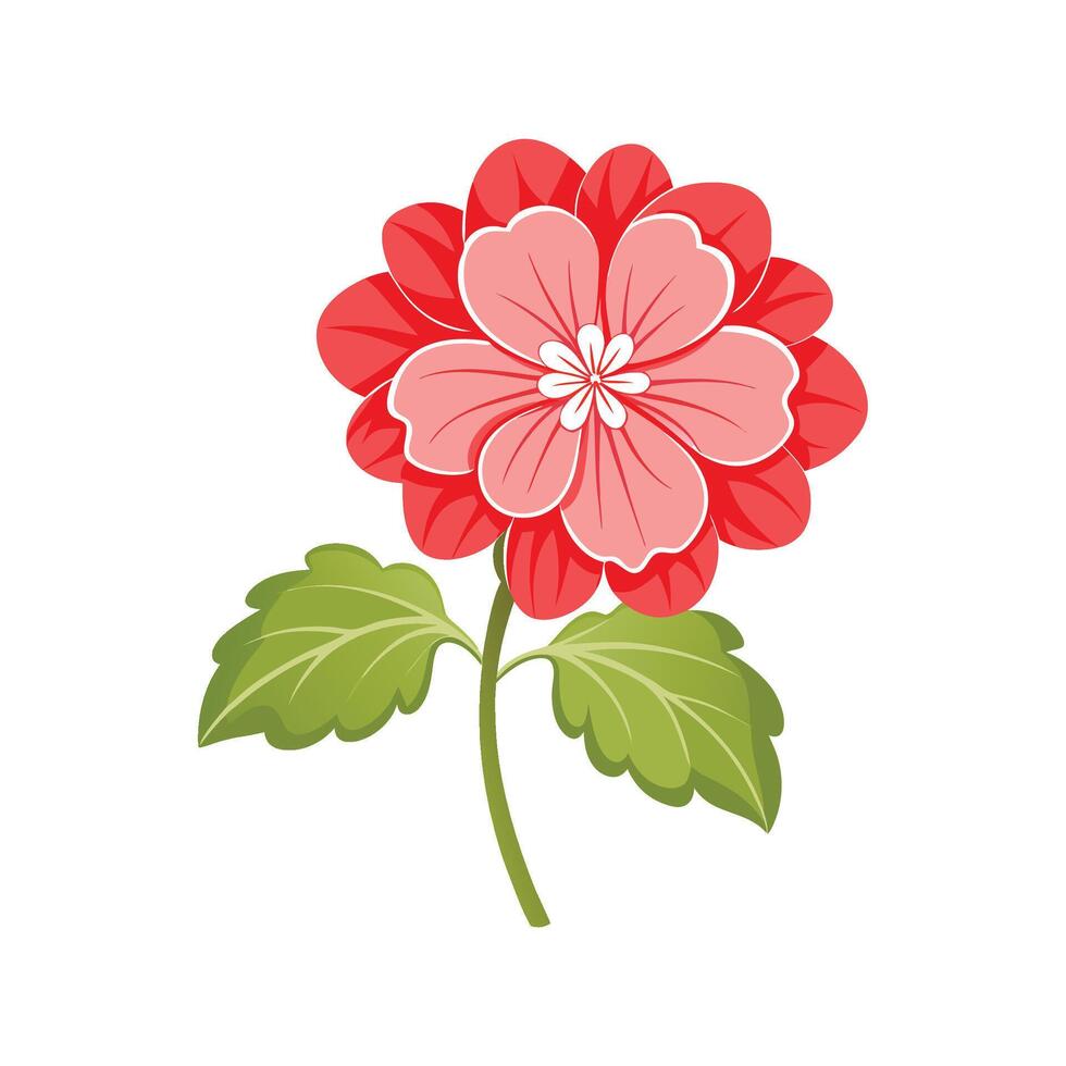 Elegant Geranium Flower Illustration. vector
