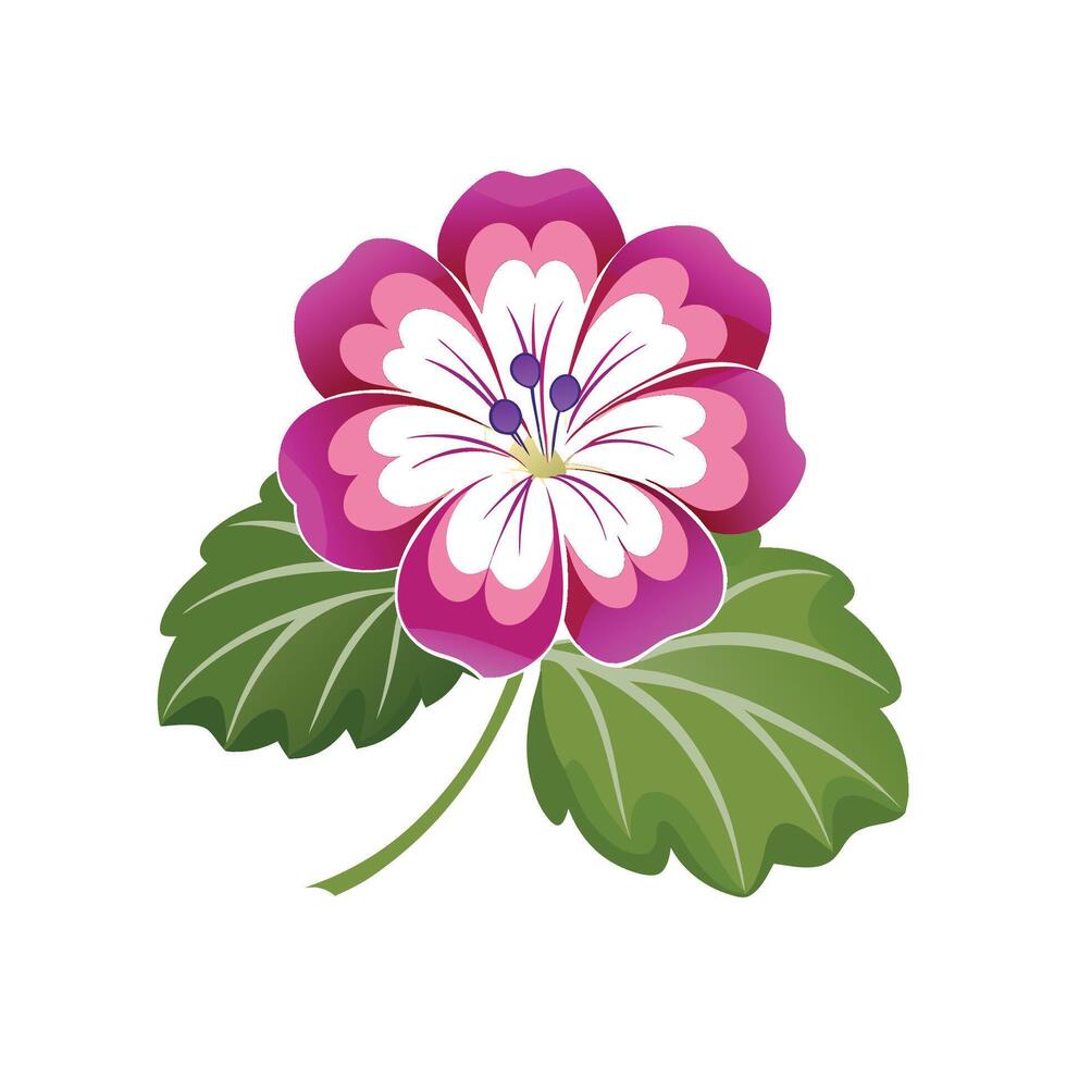 Elegant Geranium Flower Design with Colorful Blooms vector