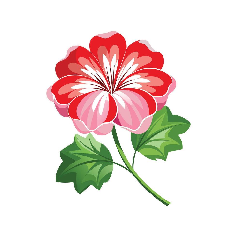 Elegant Geranium Plant Design vector