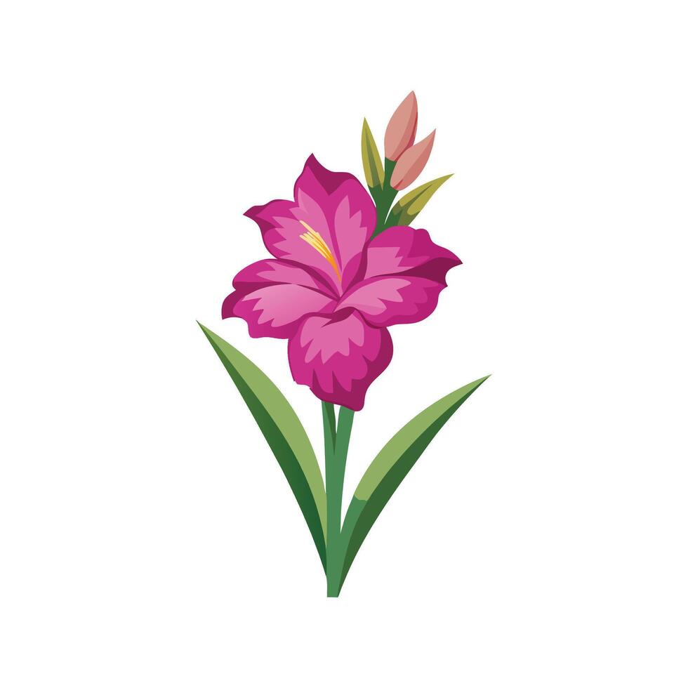 Charming Gladiolus Plant with Unique Blooms vector