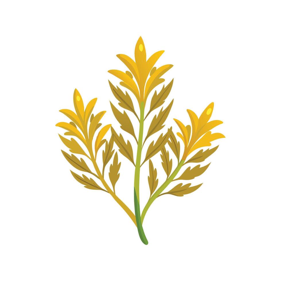 Elegant Golden Samphire Plant Design vector