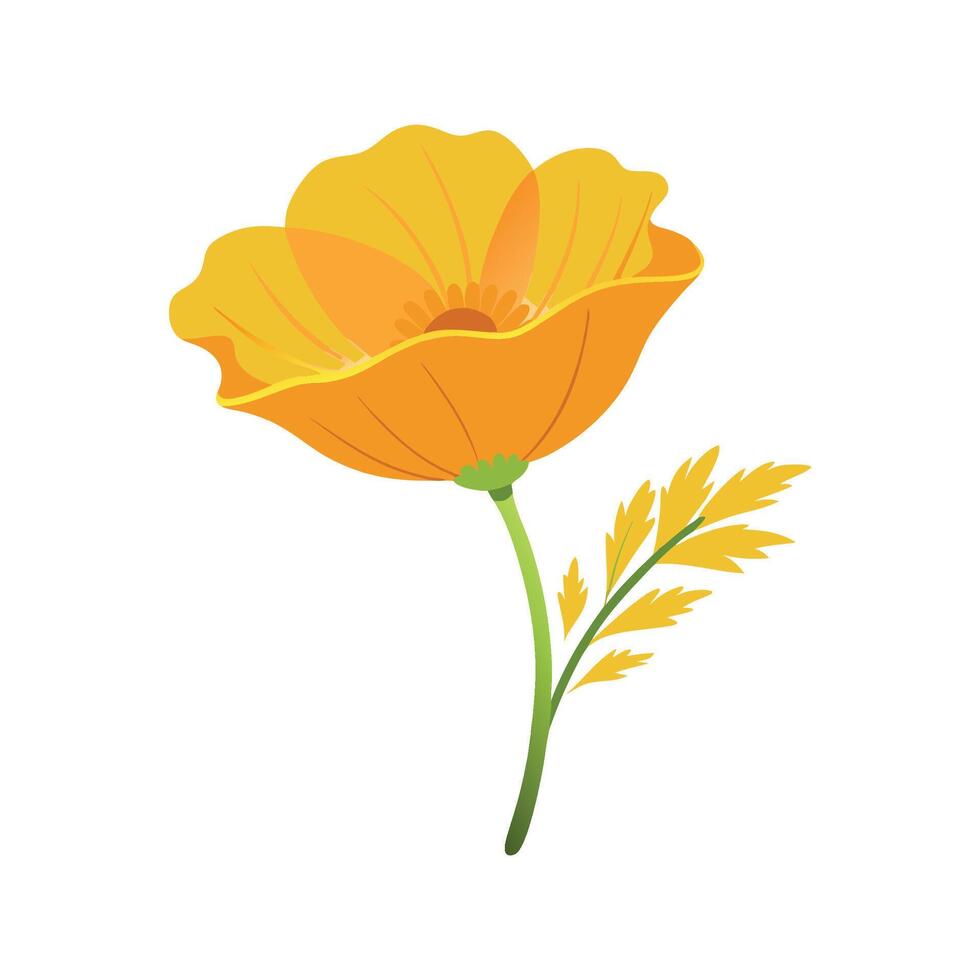 Elegant Golden Poppy Flower Design with Bright Colors vector