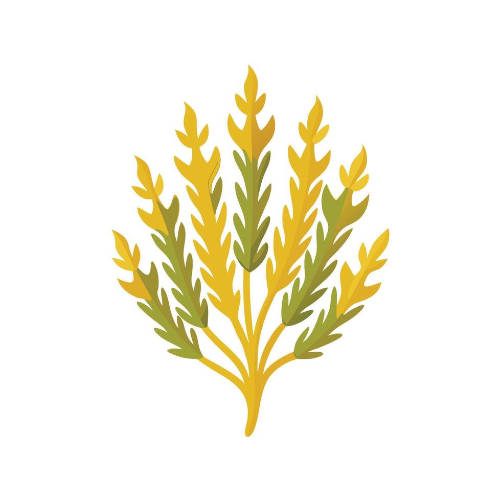 Elegant Golden Samphire Plant with Unique Blooms vector