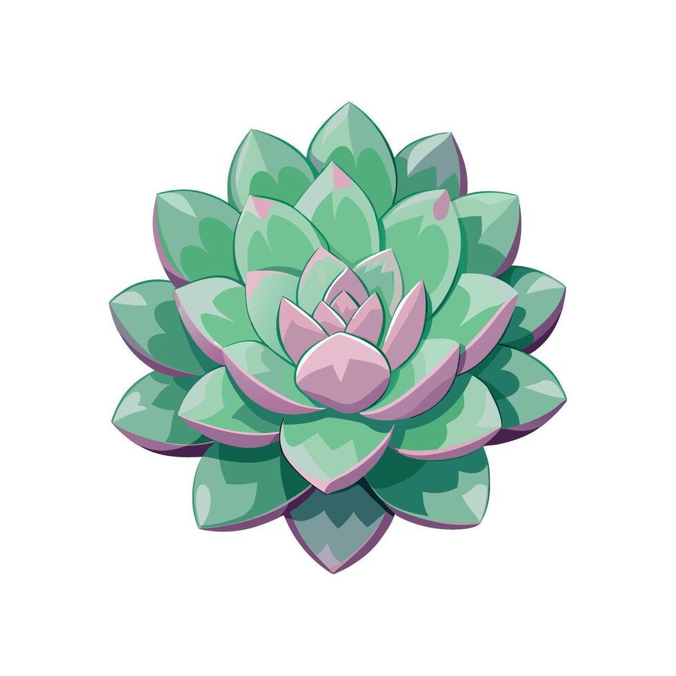 Charming Graptopetalum Flower with Colorful Blooms vector