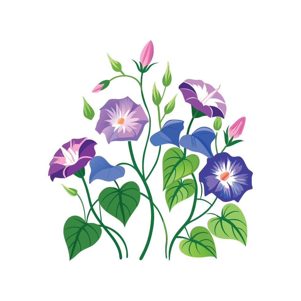 Elegant Ground Morning Glory Plant with Colorful Design vector