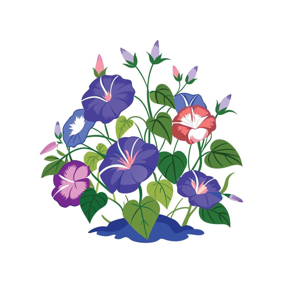 Vibrant Ground Morning Glory Flower with Bright Colors vector