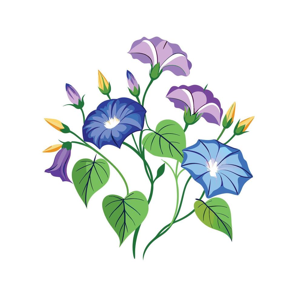 Stunning Ground Morning Glory Plant Design with Unique Features vector