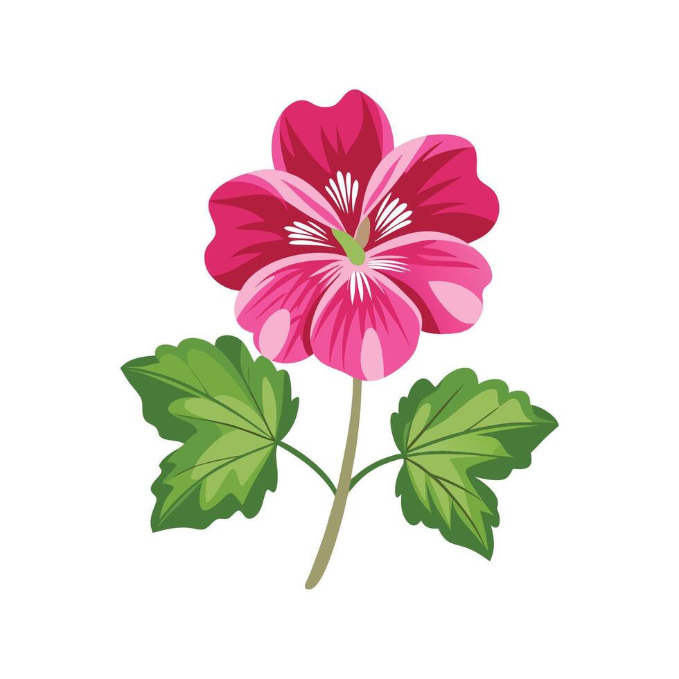 Elegant Hardy Geranium Plant with Striking Design vector