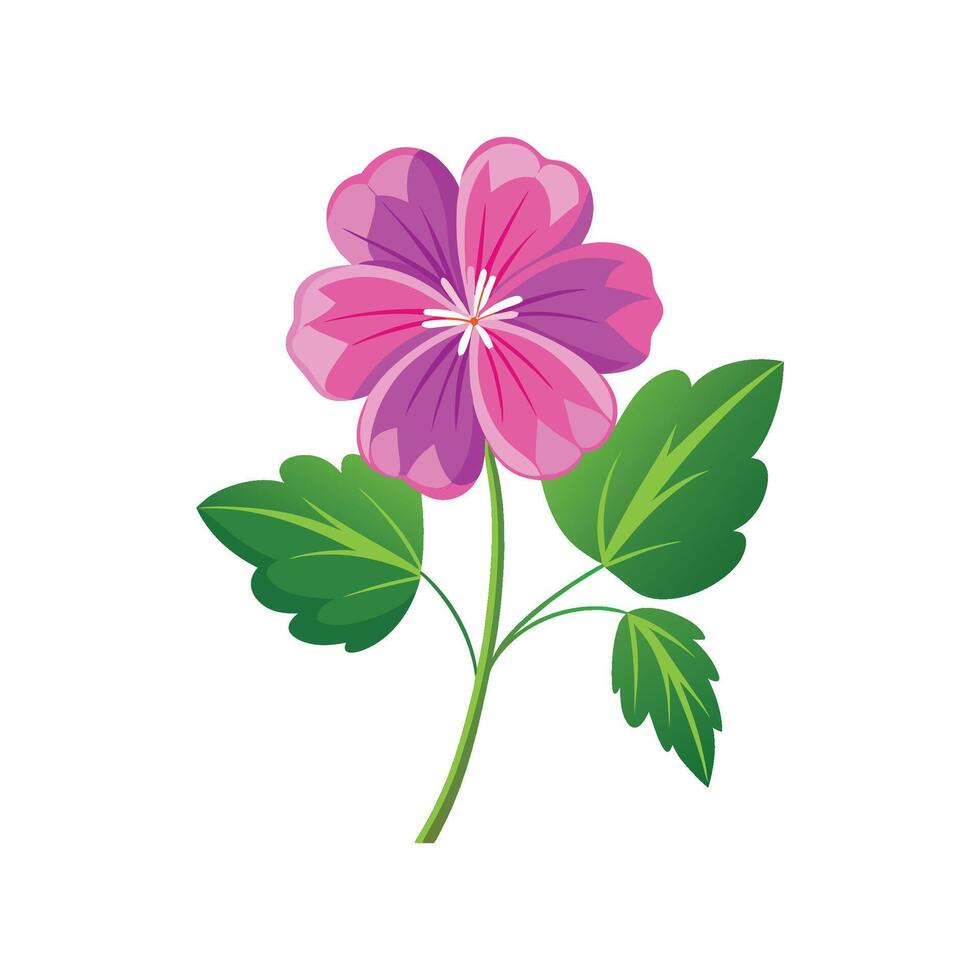 Charming Hardy Geranium Plant Design vector