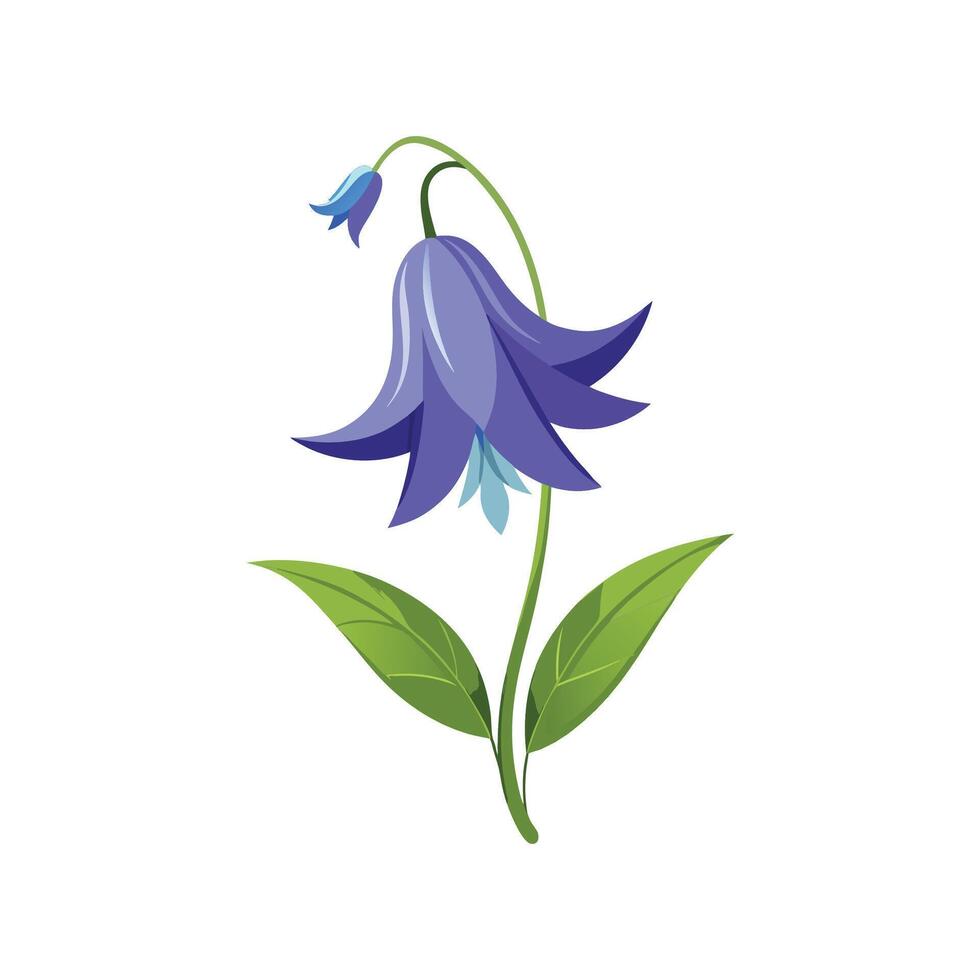 Elegant Harebell Plant Artwork vector
