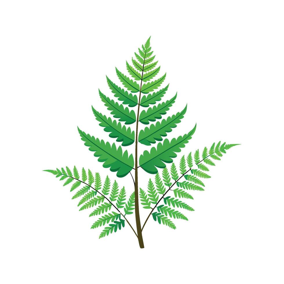 Stunning Hares Foot Fern Design with Bright Colors vector