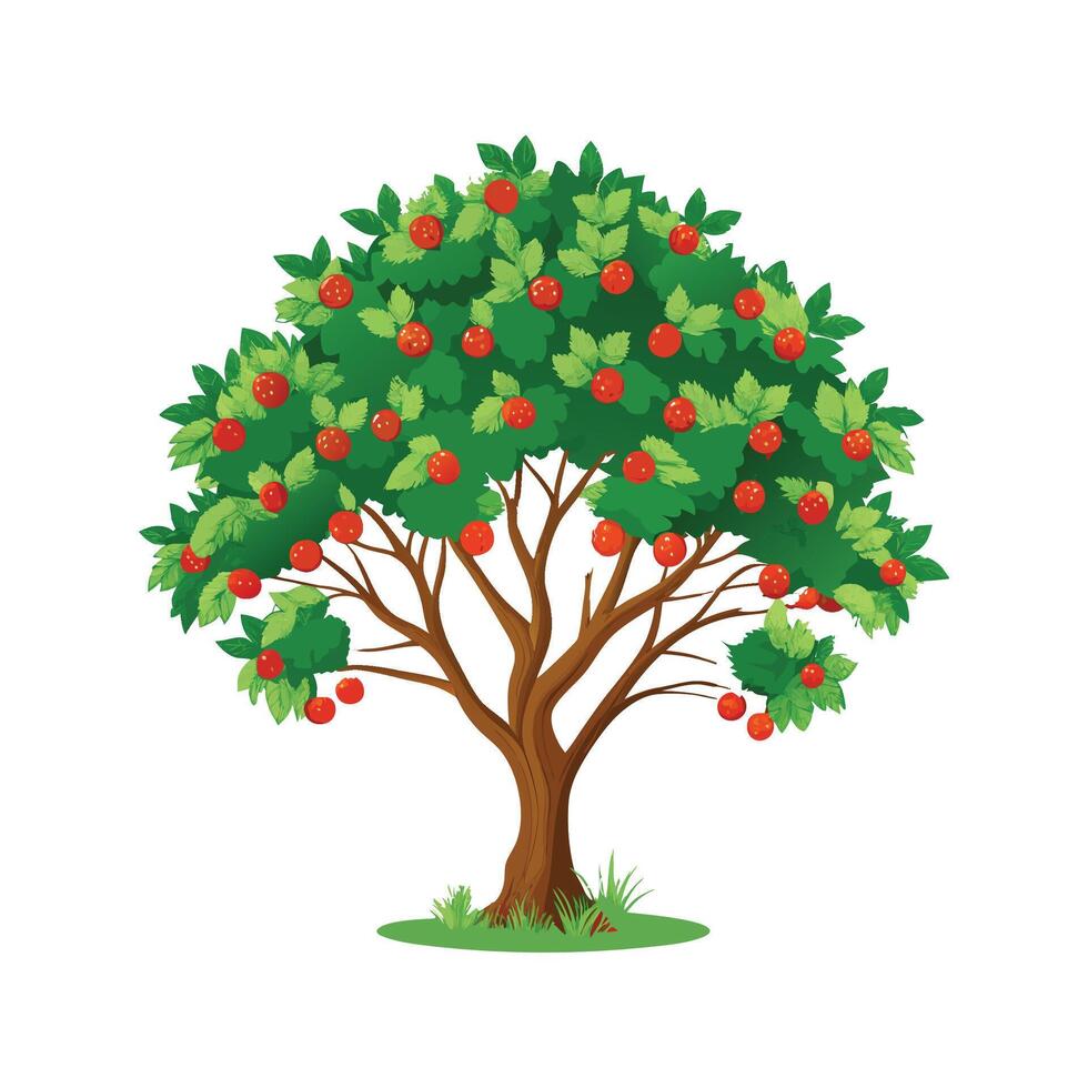 Stunning Hawthorn Plant Design with Unique Blooms vector