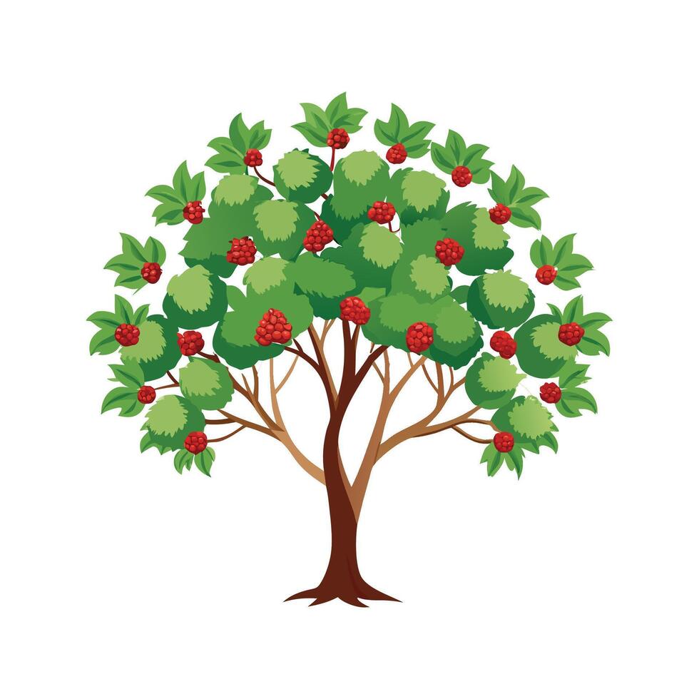 Charming Hawthorn Plant with Striking Blooms vector