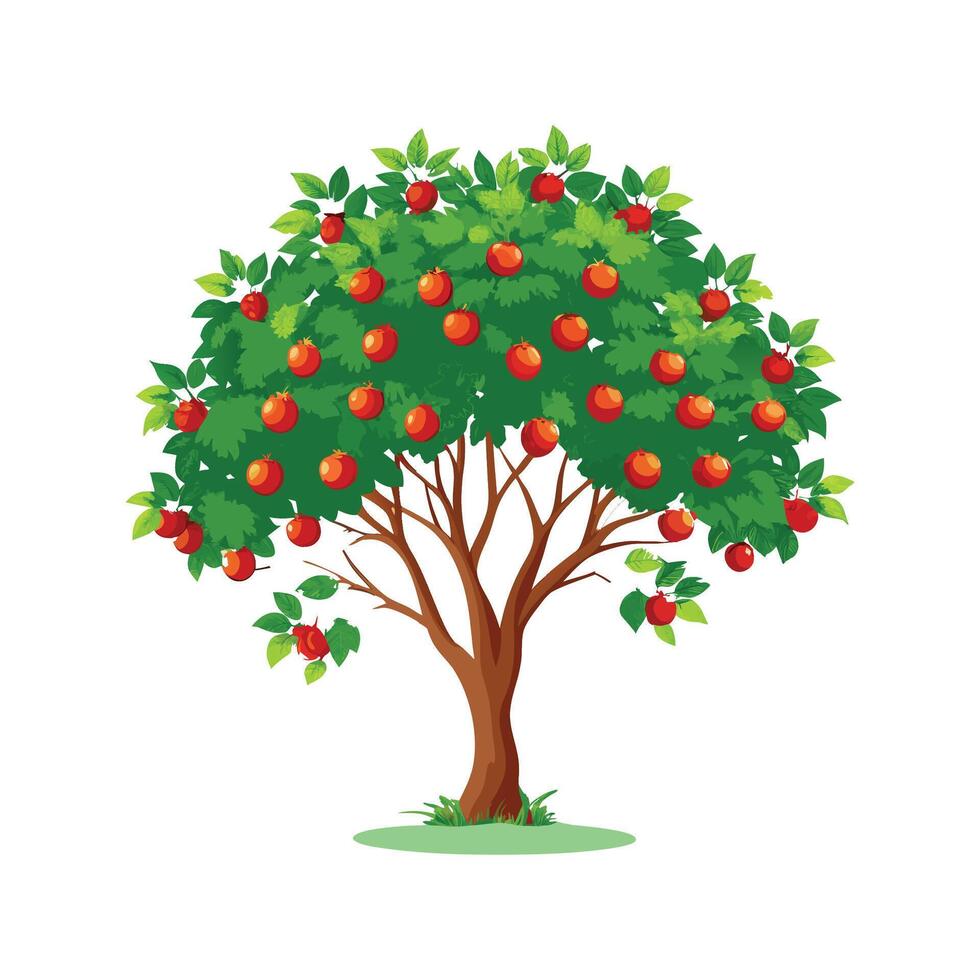 Elegant Hawthorn Flower Design with Colorful Blooms vector