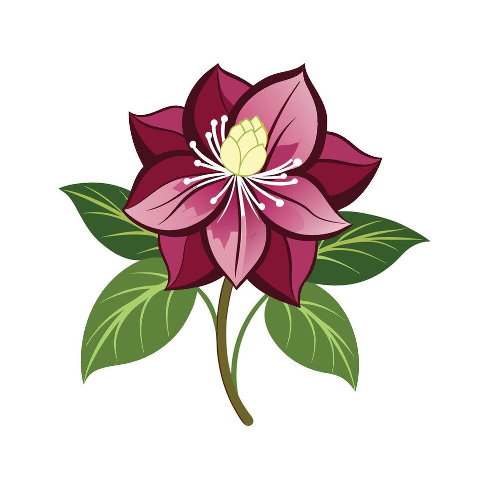 Vibrant Hellebore Flower Design with Bright Colors vector