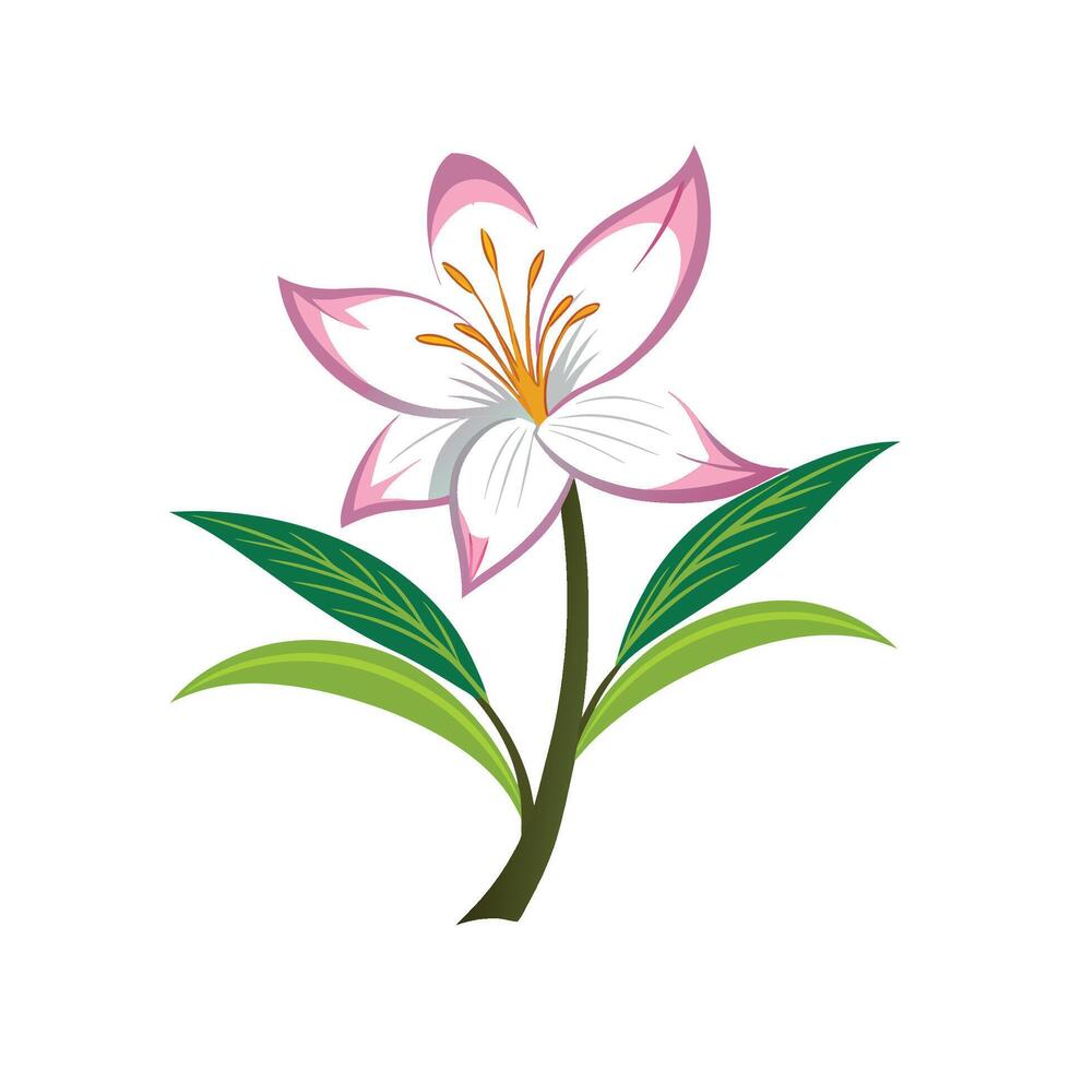 Stunning Hesperantha Flower Design with Bright Colors vector