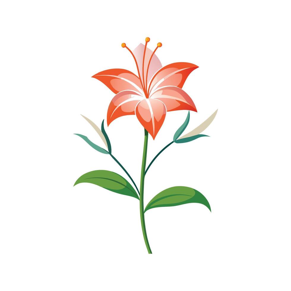 Stunning Hesperantha Flower Design with Unique Blooms vector