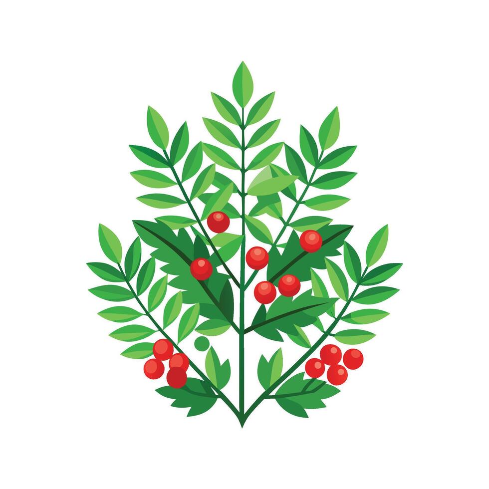 Elegant Holly Fern Plant Design vector