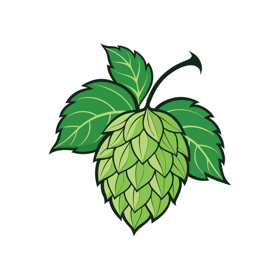 Elegant Hops Flower Design with Bright Colors vector