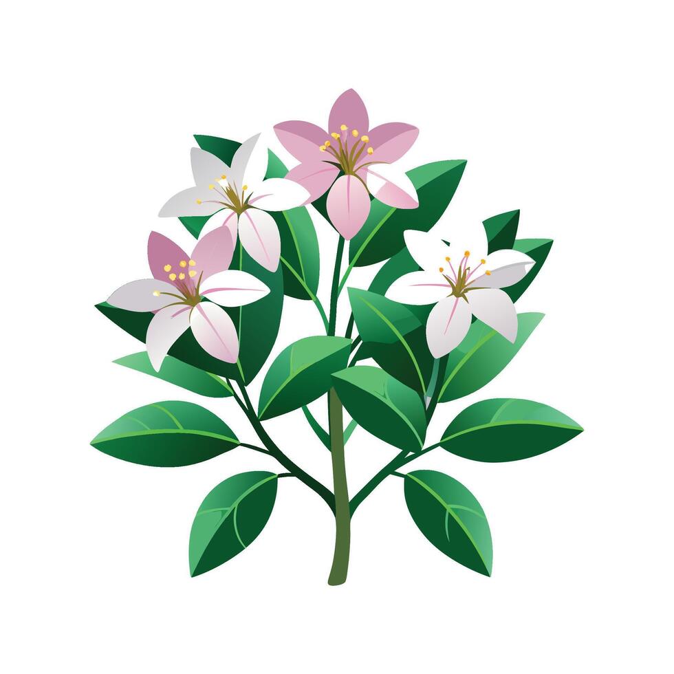 Houstonia Flower Design with Bright Appearance vector
