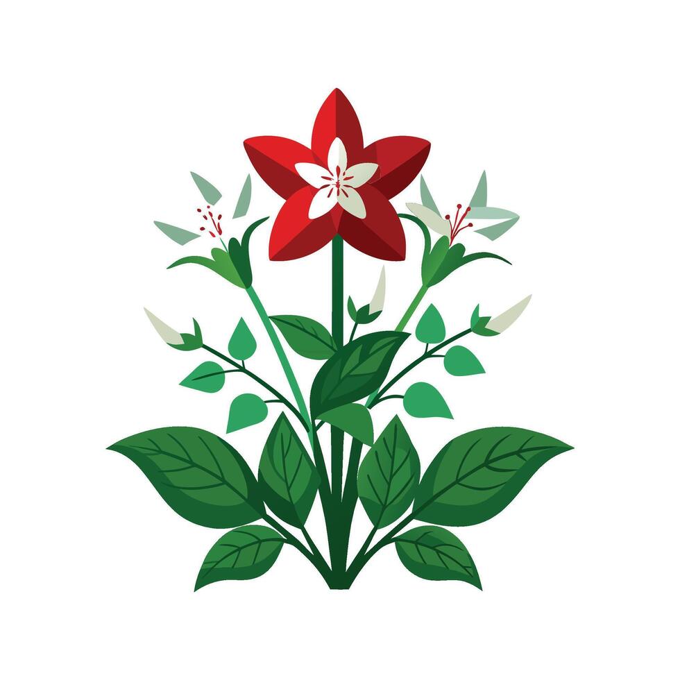 Charming Houstonia Plant with Unique Blooms vector
