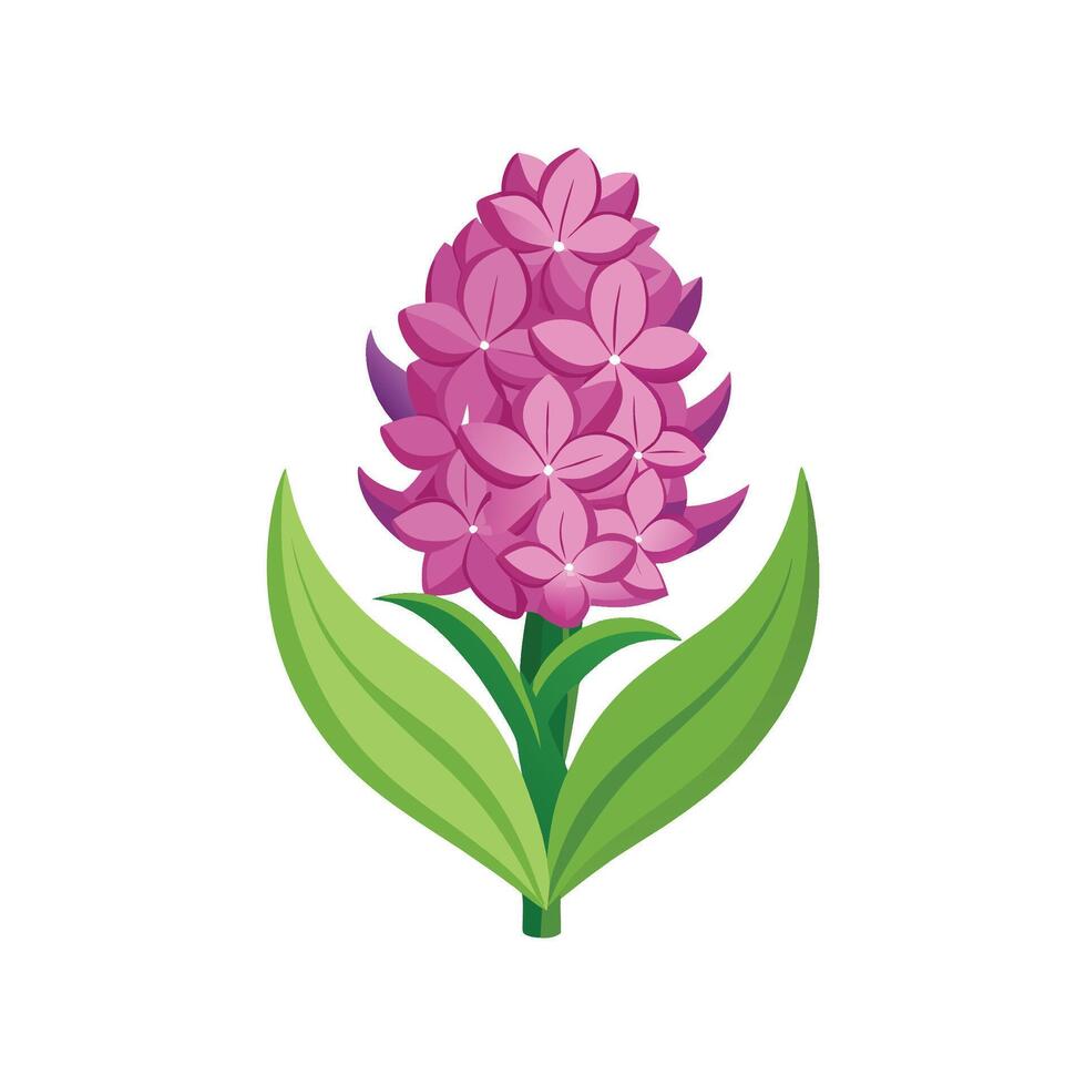 Stunning Hyacinth Plant Design with Unique Blooms vector