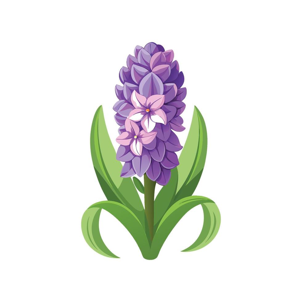 Charming Hyacinth Plant with Unique Features vector