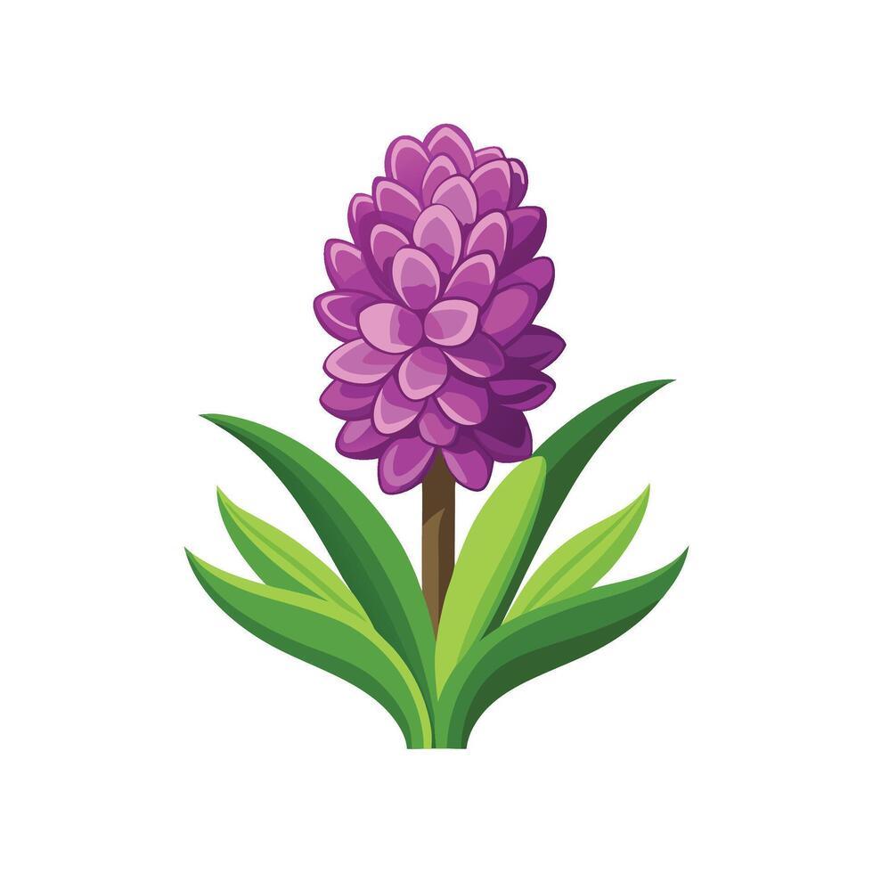 Charming Hyacinth Plant Design with Unique Features vector