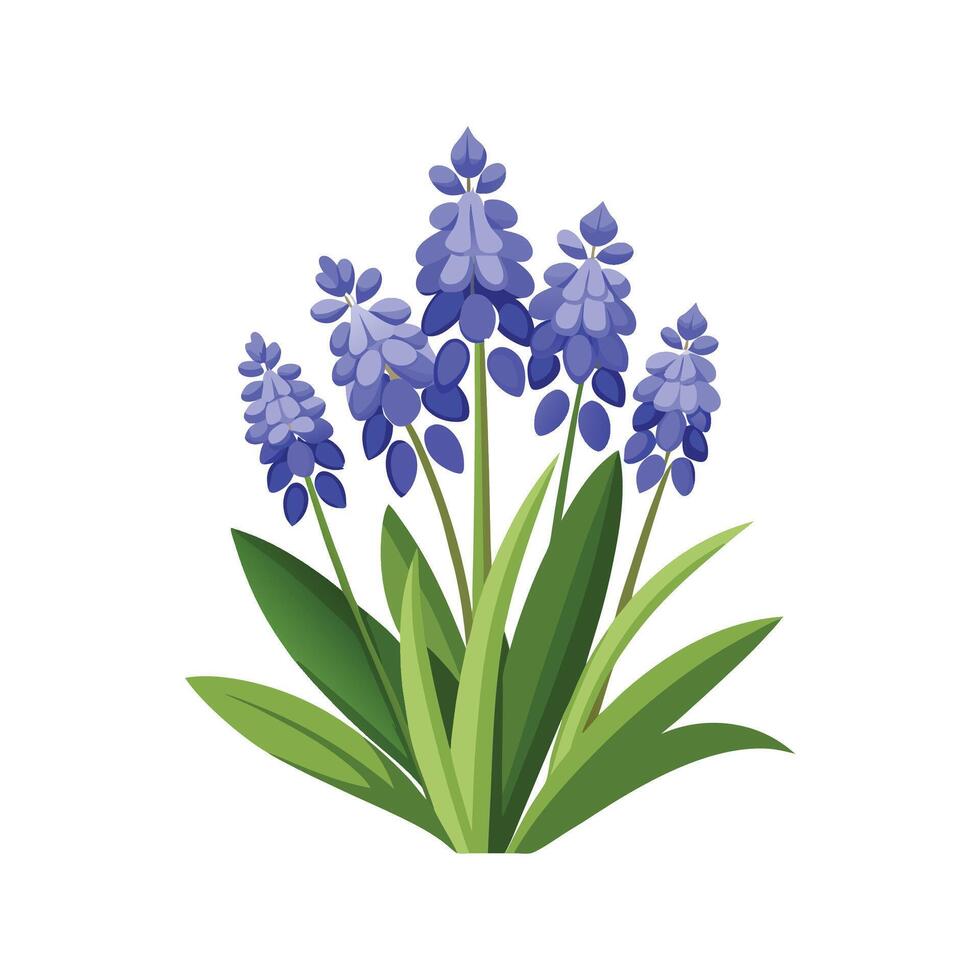 Stunning Hyacinthoides Flower Design with Bright Colors vector