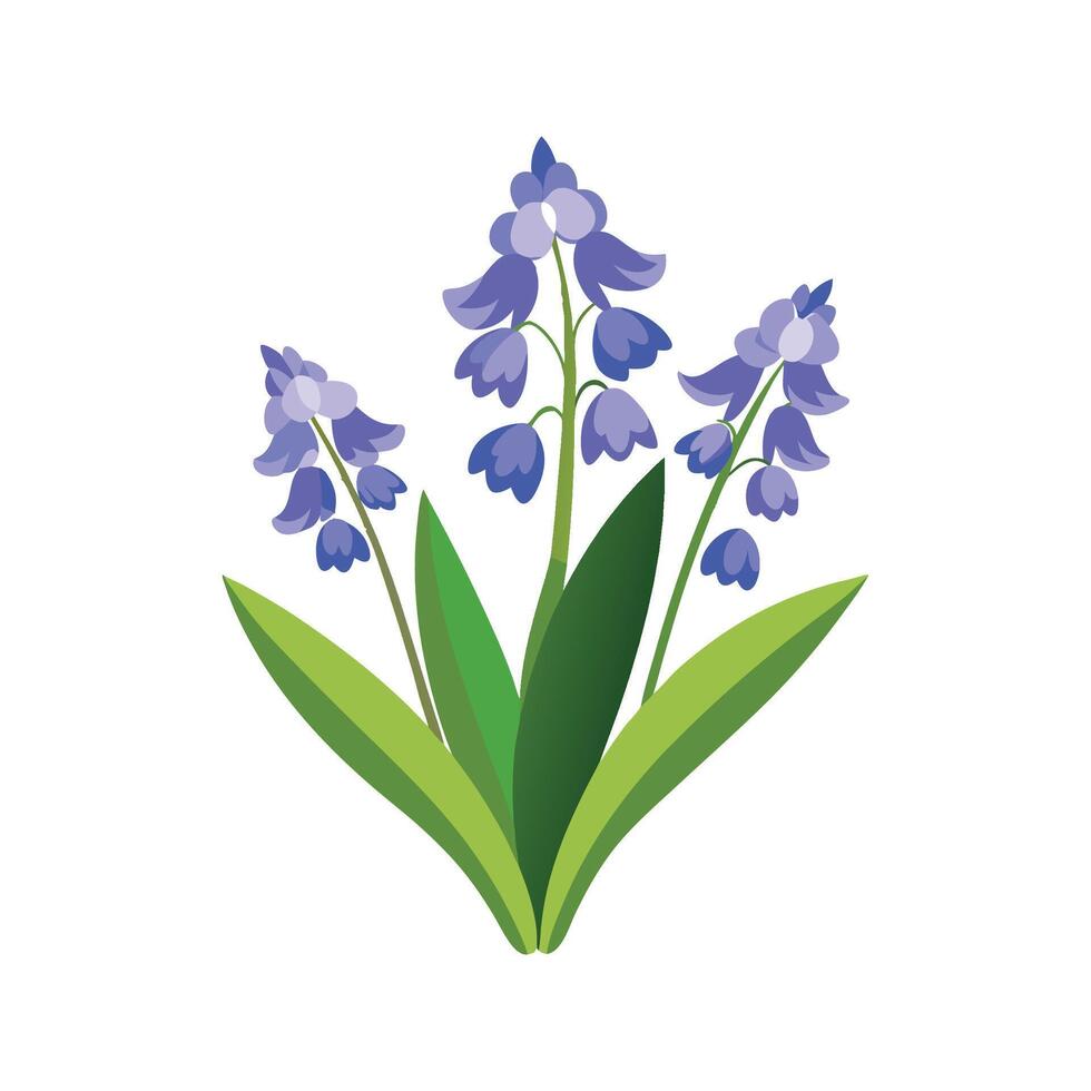 Stylish Hyacinthoides Plant Design vector