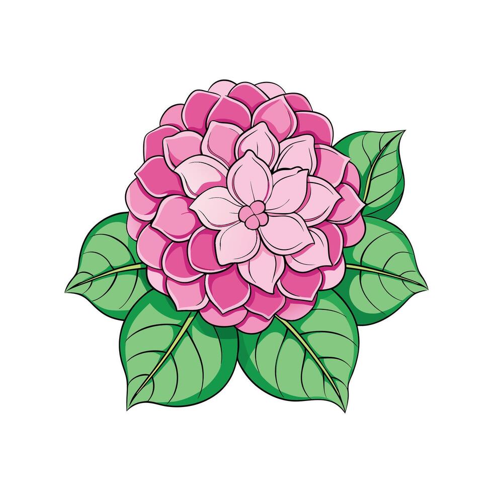 Hydrangea Flower Design with Unique Features vector
