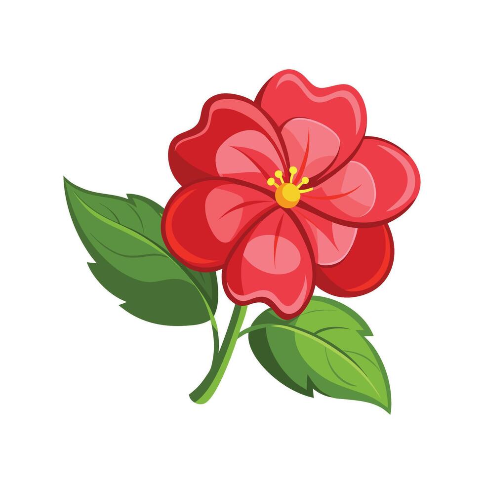 Beautiful Impatiens Plant Design with Colorful Blooms vector