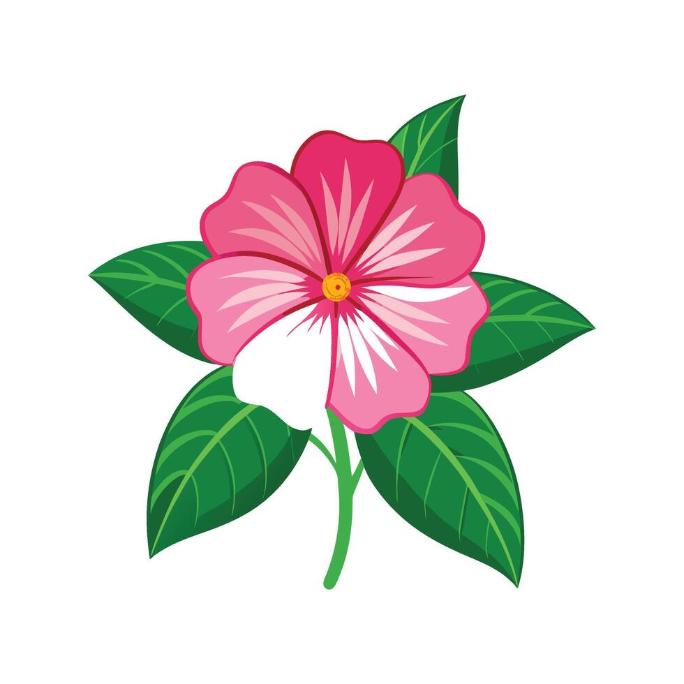 Charming Impatiens Plant Illustration vector