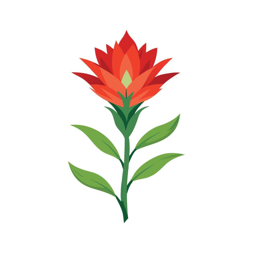 Charming Indian Paintbrush with Vibrant Colors vector
