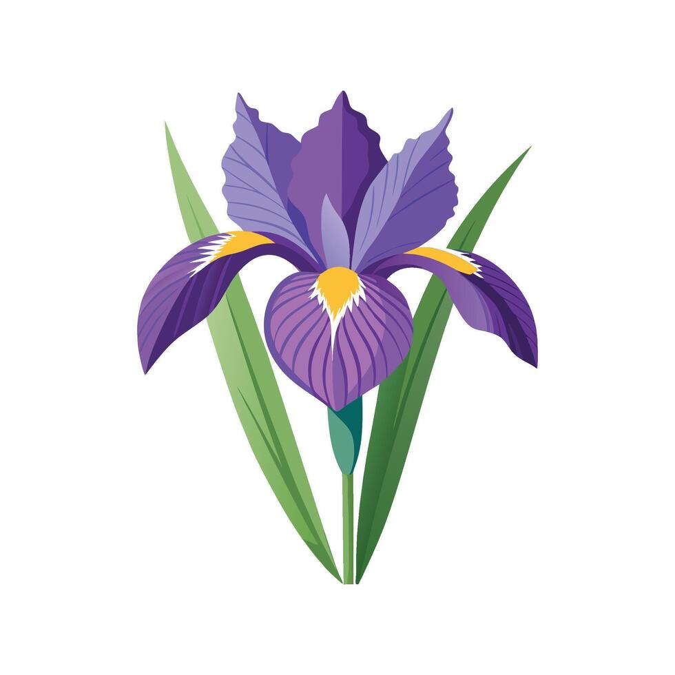 Stunning Iris Flower Design with Vibrant Colors vector