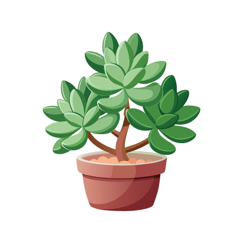 Charming Jade Plant Artwork. vector